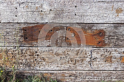 Old brown weathered distressed wood oak timber boards background Stock Photo