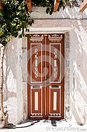 Old brown wooden Door and green bush Stock Photo