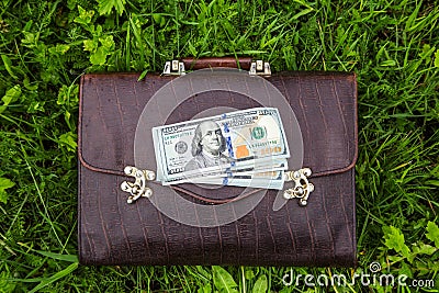 The old brownface of brown, worn leather lies on the grass. On the portfolio of a pack of hundred-dollar bills. Place for your Stock Photo