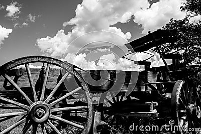 Old Buckboard Stock Photo