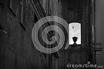 Old building with a window and a flying bird. Monochrome architecture. Stock Photo