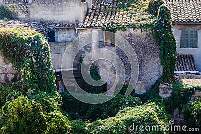 Overgrown with green creepers Stock Photo