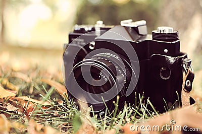 Old camera in a park in autumn Stock Photo