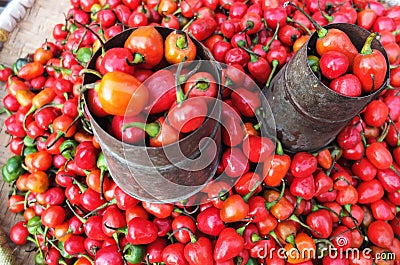 Old Can and Tamarillo tomatoes Stock Photo
