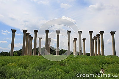 Old Capital Columns Washington DC Editorial Stock Photo