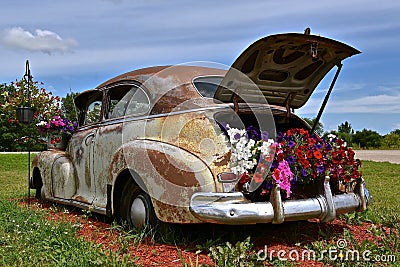 Old car used for display flowers Stock Photo