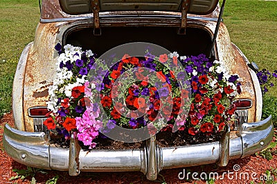 Old car used for display flowers Stock Photo