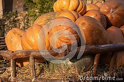 An old cart with a harvest of pumpkins Stock Photo