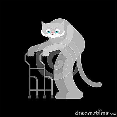 Old cat isolated. Grandpa cat. Vector illustration Vector Illustration