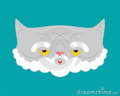 Old cat isolated. Grandpa cat. Vector illustration Vector Illustration