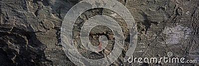 Old cement plaster with traces of destruction. Web banner Stock Photo