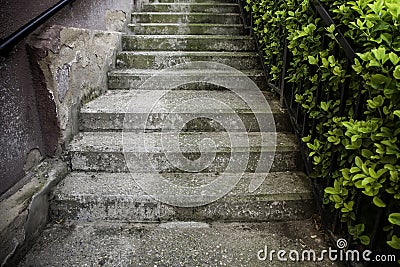 Old cement stairs Stock Photo