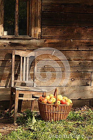 Old chair and apples Stock Photo