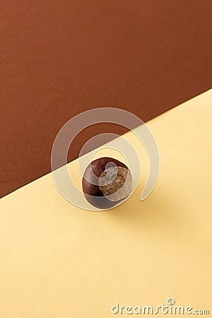 Old chestnut on brown and pastel yellow background. Season nature composition Stock Photo