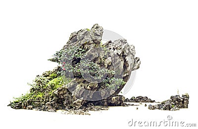 Old chinese bonsai Stock Photo