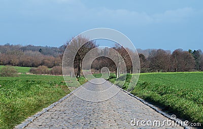 Old cobble stone road through the fields around Asse, Belgium Stock Photo
