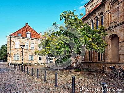 OsnabrÃ¼ck, Germany - August 28, 2022: Old cobbled street in the morning with a big green tree Editorial Stock Photo