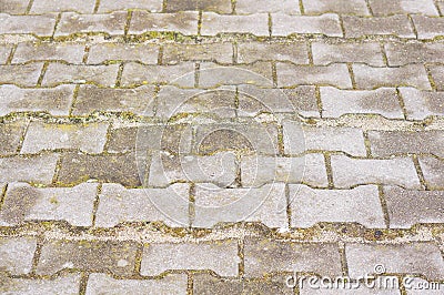 Old cobblestone pathway with moss growing Stock Photo