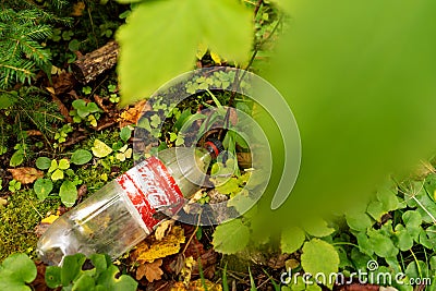 Old Coca cola bottle in the forest. Plastic recycling, pollution and global warming theme. Editorial Stock Photo