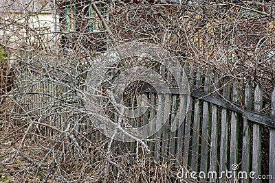 old collapsed fence Stock Photo