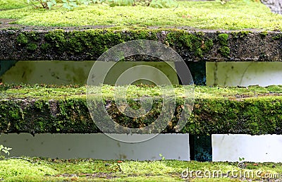 Old concrete stairs overgrown with grass in Nida Lithuania Stock Photo
