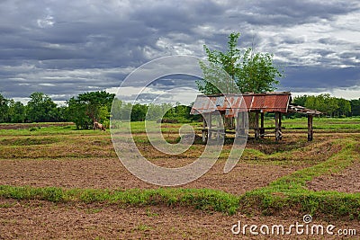 Old cottage in the field Stock Photo