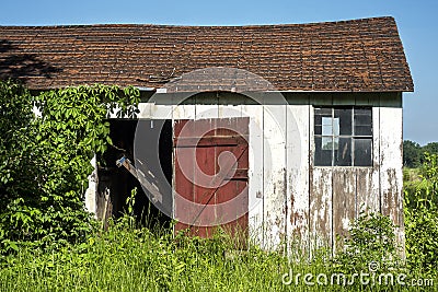 Old country barn painted white and red with sagging roof in farmer`s field with tall green grass Stock Photo
