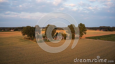 Old country graveyard by cereal field sorrounded Stock Photo