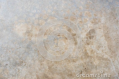 old crack grunge grey concrete floor texture background,weathered cement backdrop. Stock Photo