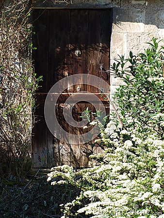 Old castle lion`s back door Stock Photo