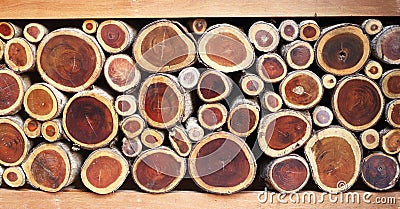 Old cutting wood arrange in row show brown log surface as nature backdrop - Home interier design Stock Photo