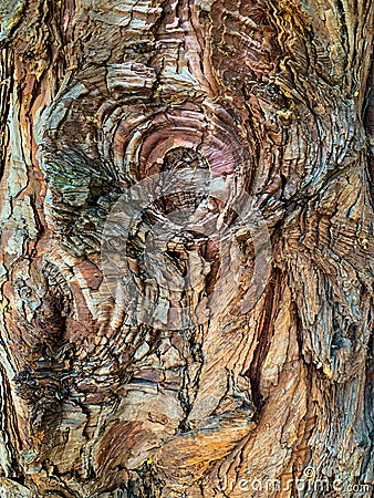 Old deep textured redwood bark Stock Photo