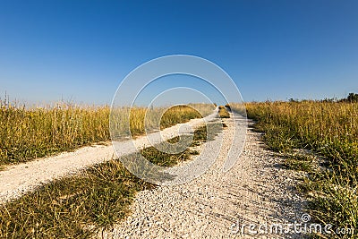 An old dirt road across the fields. Country road or street through an idyllic landscape in summer. Stock Photo