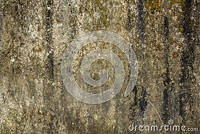 A Old dirty gray-green concrete wall with stains of dirt, mold and moss. rough texture. rough concrete wall Stock Photo