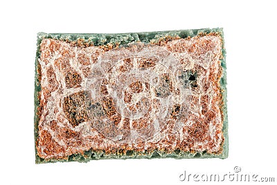 Old dirty sponge Stock Photo