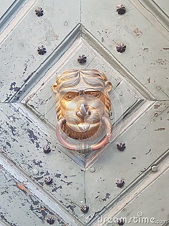Old doorhandle lion head. Lion head with ring. Stock Photo