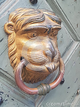 Old doorhandle lion head. Lion head with ring. Antique door handle Stock Photo