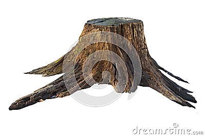 Old tree stump with moss isolated on white Stock Photo