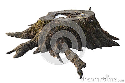 Old tree stump with moss isolated on white Stock Photo