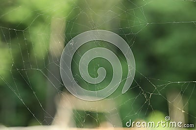 Old dusty cobweb on blurred background, closeup Stock Photo