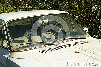 Old empty automobile in weeds Stock Photo