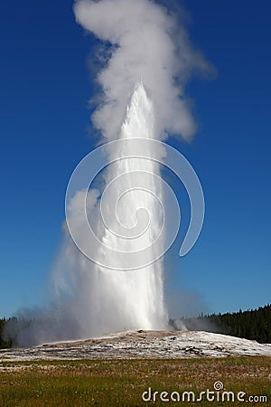 Old Faithful geyser in Yellowstone National Park,USA. Stock Photo
