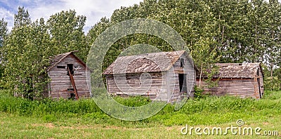 Old farm sheds on the prairies Stock Photo