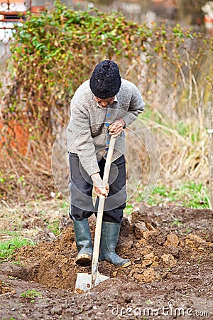 Old farmer digging in the garden Stock Photo