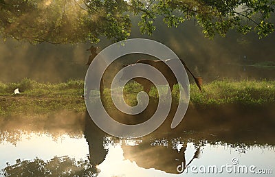 Old farmer under the ancient banyan tree Stock Photo