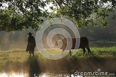 Old farmer under the ancient banyan tree Editorial Stock Photo