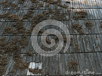 Old farmhouse roof Stock Photo