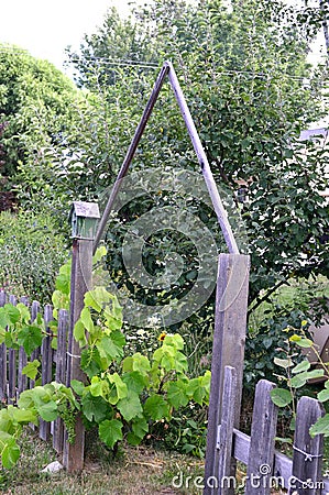 Old fashioned garden gate with birdhouse Stock Photo