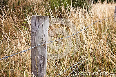 Old fence Stock Photo