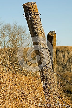 Old Fence Post Stock Photo